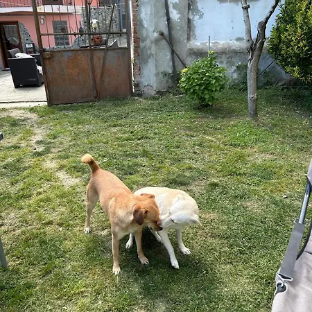 Da Betti E Luca Daire