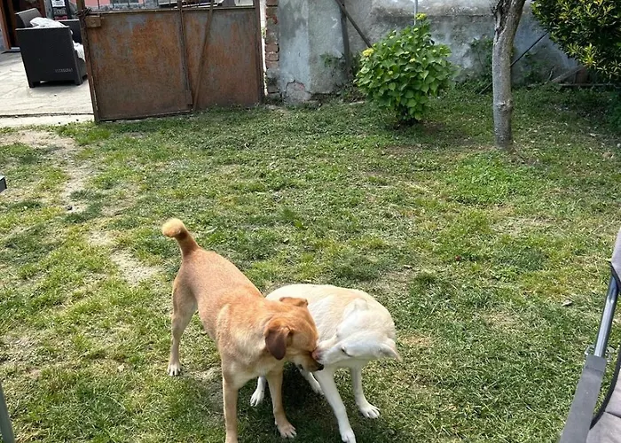 Da Betti E Luca Lejlighed